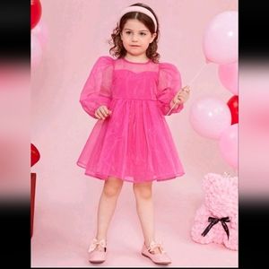 Woven solid pink color mesh long sleeve dress size 6y